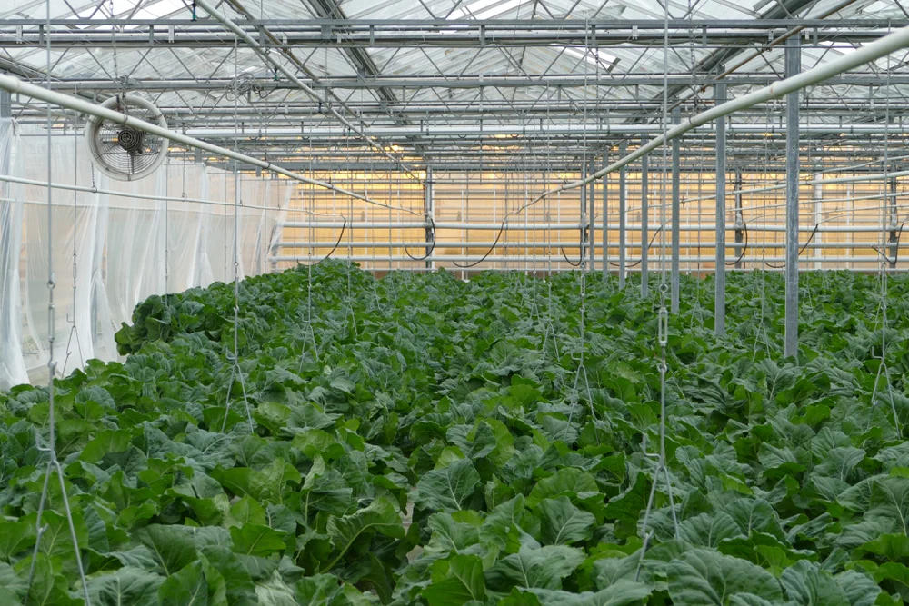 Adding Goodness To Nature & Smile To Farmers