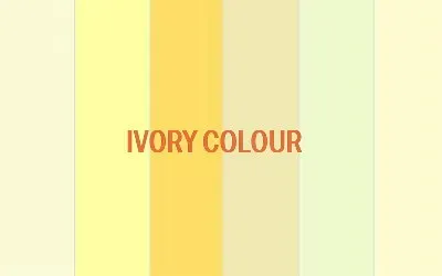 Ivory Colour