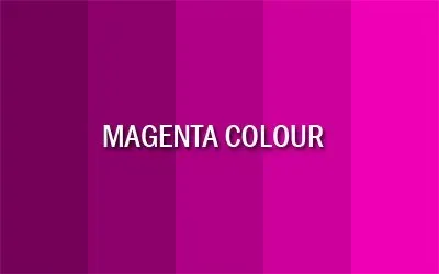 Magenta Colour