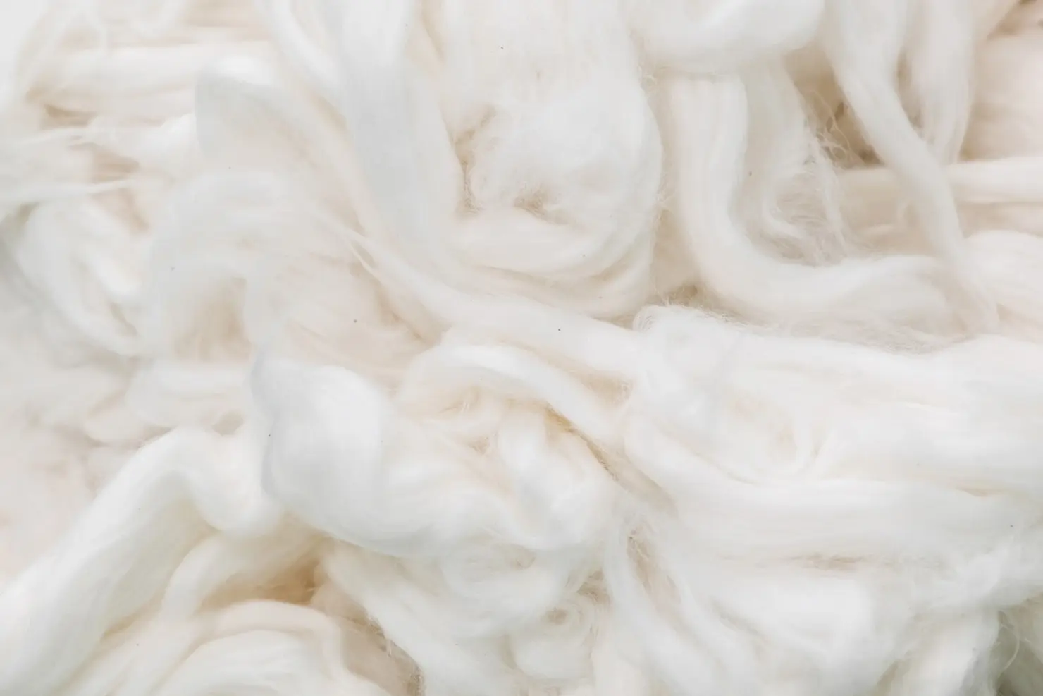 PET Masterbatch Manufacturer in India | PET Masterbatch Supplier ...