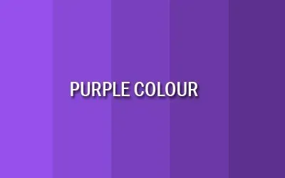 Purple Colour