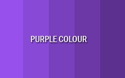 purple-colour